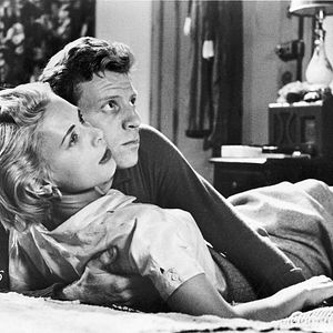 Bilder Der Tiger von New York