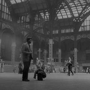 Bilder Der Tiger von New York