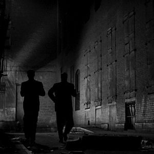 Bilder Der Tiger von New York