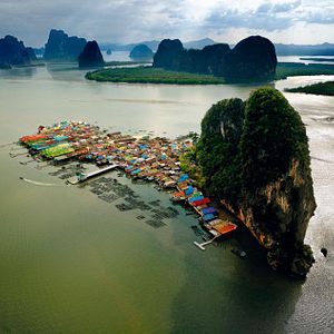 Bilder Human - Die Menschheit