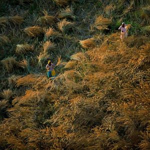 Bilder Human - Die Menschheit