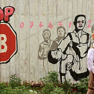 Bilder Lilien im Winter - La Bohème am Kap