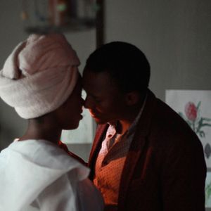 Bilder Lilien im Winter - La Bohème am Kap