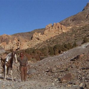 Bilder Take a Hard Ride