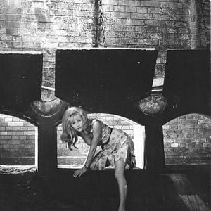 Bilder Wer will Jessie umbringen?