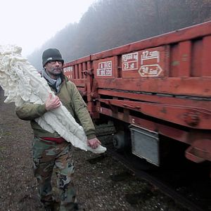Bilder Le complexe de la salamandre
