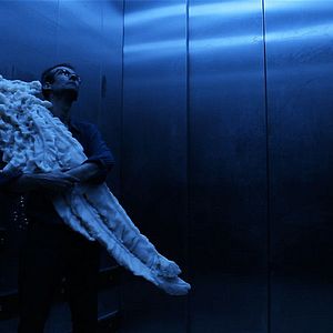 Bilder Le complexe de la salamandre