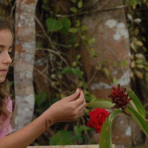 Bilder Das Mädchen aus dem Regenwald