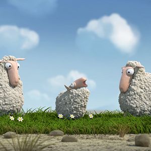 Bilder Petites casseroles