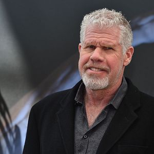 Bilder Ron Perlman