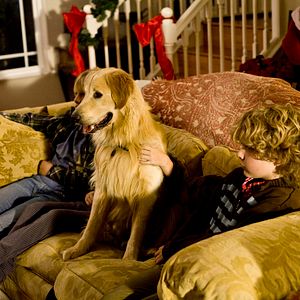 Bilder Die Weihnachtshochzeitsgeschichte