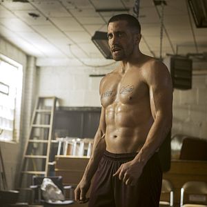 Bilder Jake Gyllenhaal