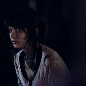 Bilder Lemon Tree Passage