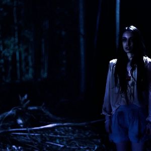 Bilder Lemon Tree Passage