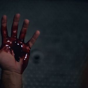 Bilder Lemon Tree Passage