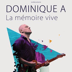 Bilder Dominique A, La mémoire vive