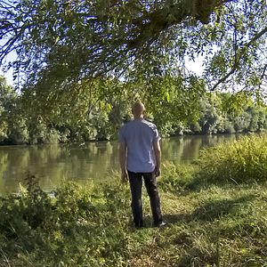 Bilder Dominique A, La mémoire vive