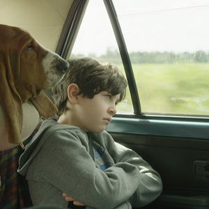 Bilder Die fast perfekte Welt der Pauline