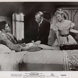 Bilder Die Furchtlosen