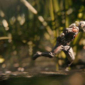 Bilder Ant-Man