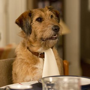 Bilder Zufällig allmächtig