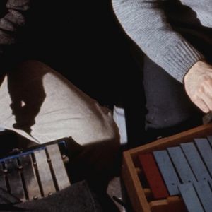 Bilder Taking The Dog For A Walk