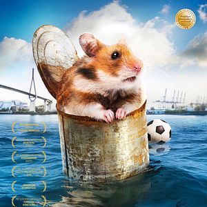 Bilder Rettet Raffi!