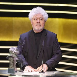 Bilder Pedro Almodóvar