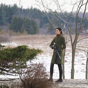 Bilder Caroline Dhavernas