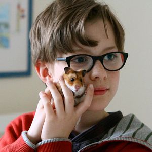 Bilder Rettet Raffi!