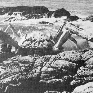 Bilder Attack of the Crab Monsters