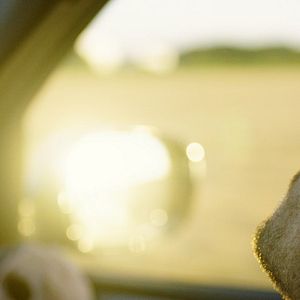 Bilder Robert Finster