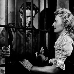 Bilder Vierzig Gewehre