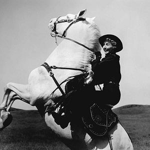 Bilder Vierzig Gewehre