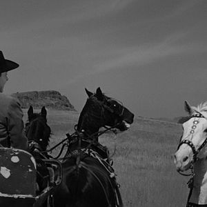 Bilder Vierzig Gewehre