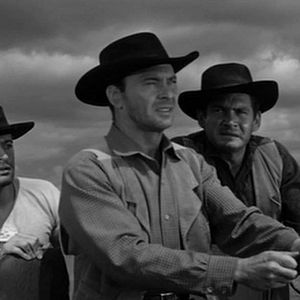 Bilder Vierzig Gewehre