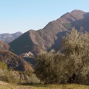 Bilder Edmond, un portrait de Baudoin