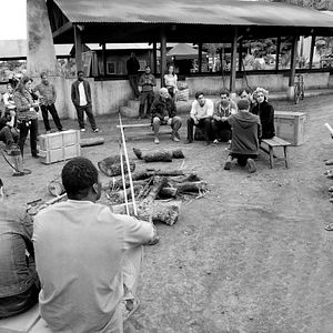 Bilder Palmen im Schnee - Eine grenzenlose Liebe