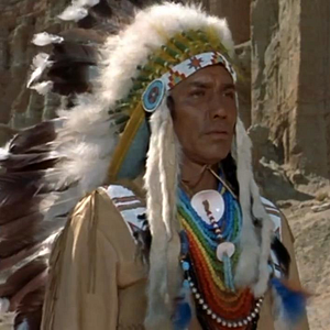 Bilder Adlerschwinge