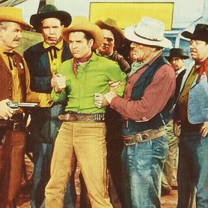 Bilder Adlerschwinge