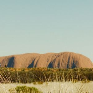 Bilder Voll verzuckert - That Sugar Film