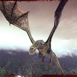 Bilder Wyvern - Rise of the Dragon
