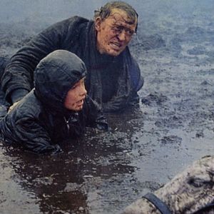 Bilder Run Wild, Run Free