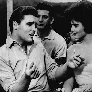 Bilder Kid Galahad - Harte Fäuste, heiße Liebe