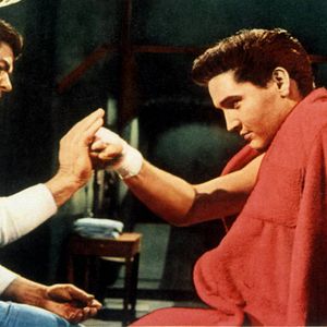 Bilder Kid Galahad - Harte Fäuste, heiße Liebe