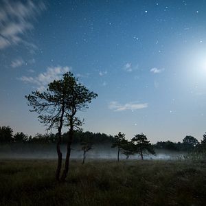 Bilder Magie der Moore