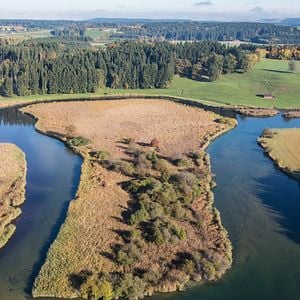 Bilder Magie der Moore