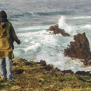 Bilder Olmo And The Seagull