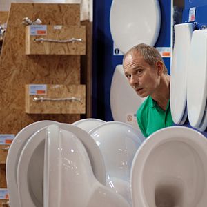 Bilder Schmidts Katze