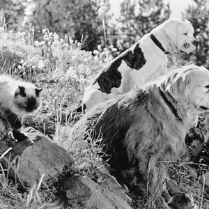 Bilder Zurück nach Hause